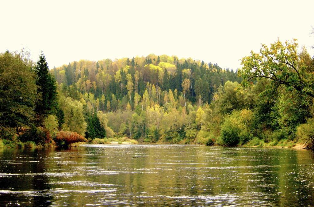 Kempings Ozolkalns Cēsis Dış mekan fotoğraf